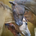 Togetherness