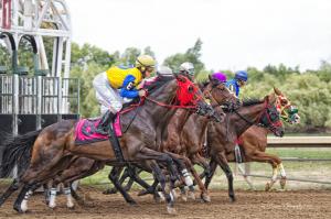 A Day At The Track